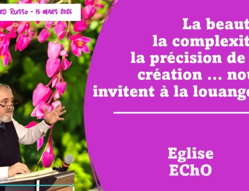 la beauté, la complexité, la précision de la création nous invitent à la louange ! Message du dimanche 15 mars 2026.