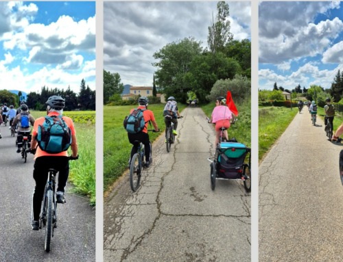 Sortie vélo entre Violes et Vaison la Romaine.