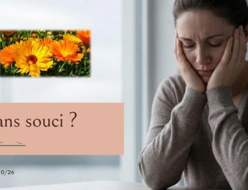 Sans souci – une étude présentée par Yannick Sahy
